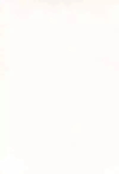 Chibi Succu Shiko Life