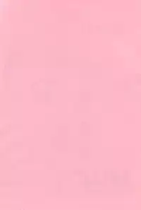 [Oreaji (Ichikawa Yayoi)] LOLLIPOP (Digimon Frontier)