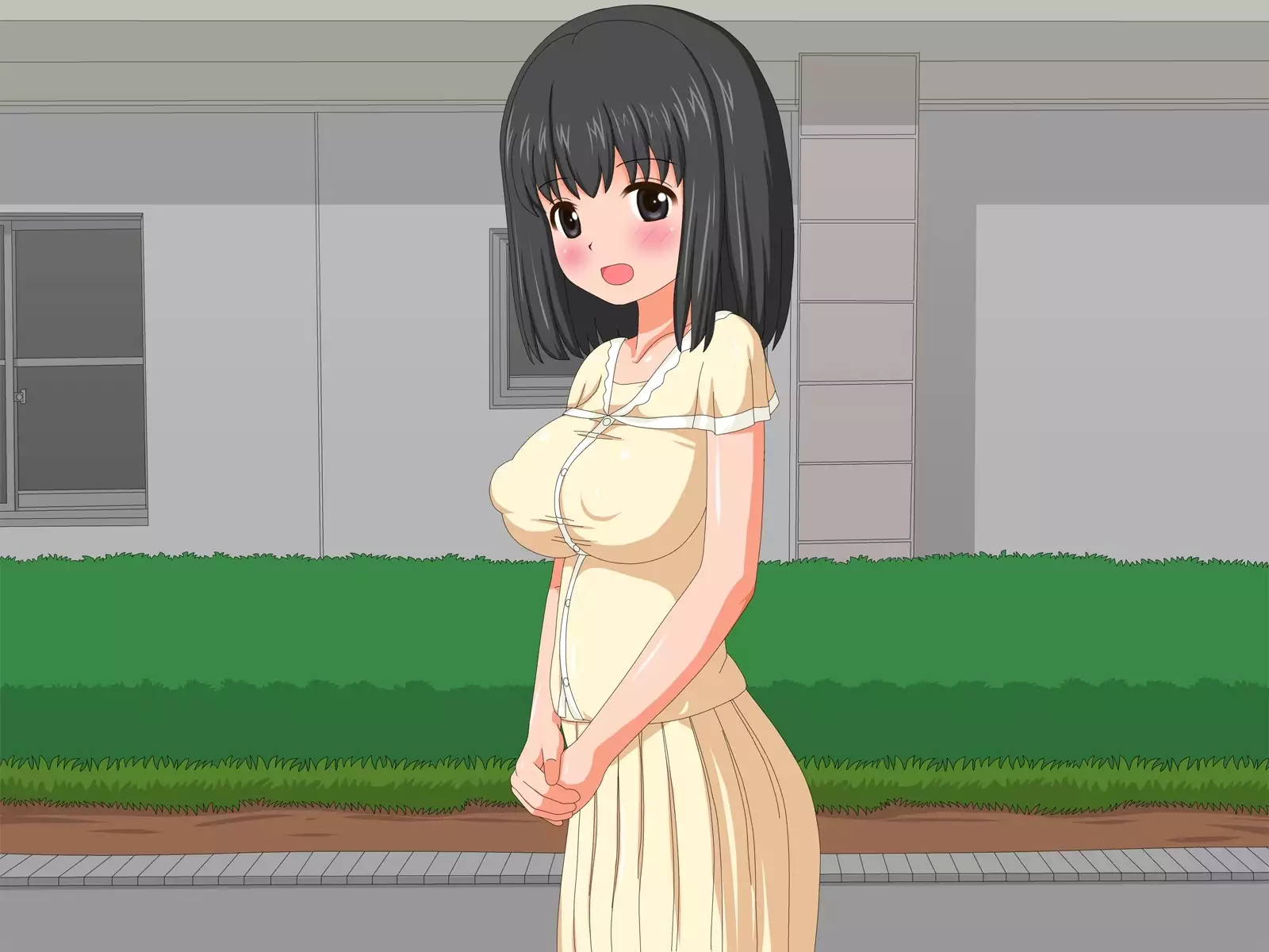 Netorare Roujin Kaigo