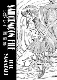 [RAT TAIL (IRIE YAMAZAKI)] IRIE YAMAZAKI "Sailor Moon" Anal & Scatolo Sakuhinshuu Ver. 1 (Bishoujo Senshi Sailor Moon) [Digital]
