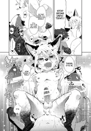 Kori Muchuu -Kitsune to Tanuki no Bakashi Ai-