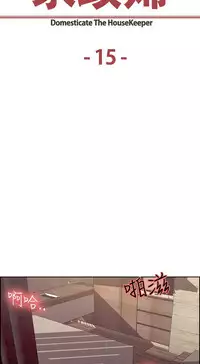 Domesticate the Housekeeper 调教家政妇 ch.1-28 (chinese)