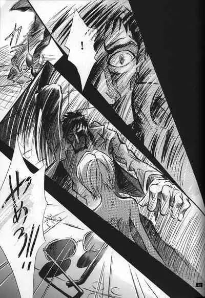 <Shinyaku> neon genesis document G