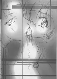 (C55) [Barricade (Nishizaki Byouya)] Aara-ISM (Slayers)