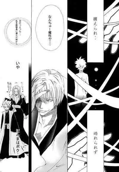 AISIRO Soushuuhen II