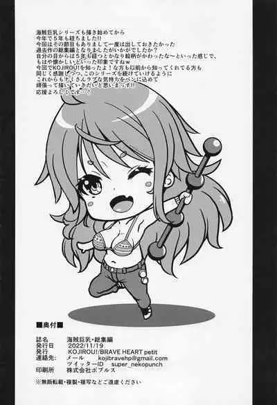 Kaizoku Kyonyuu Soushuuhen