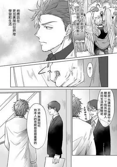 Fukurou no Koiwazurai | 猫头鹰的相思病