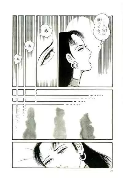 Gekiga Yapoo Koufuku