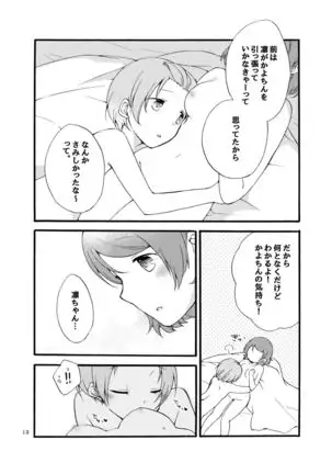 Hoshikuzu merankoryi