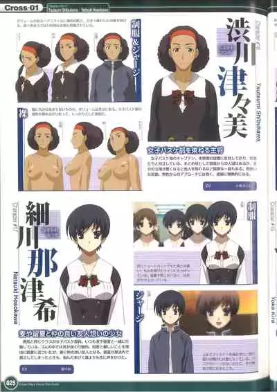 Cross Days Visual Fan Book