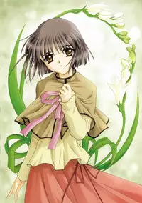 Canvas Visual Fan Book