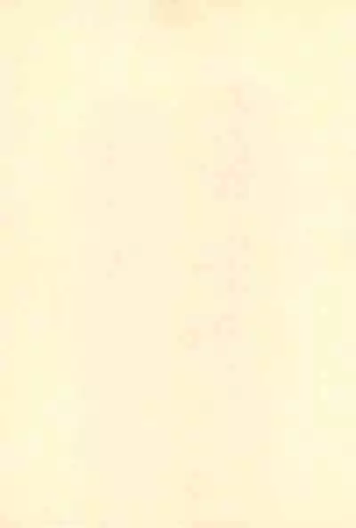 Okosama Daimyoujin 2