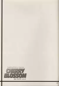 (C64) [Nagisawaya (Nagisawa Yuu)] CHERRY BLOSSOM (Card Captor Sakura)