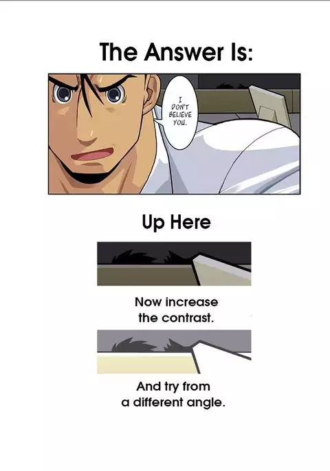 Wolves Running Through The Night