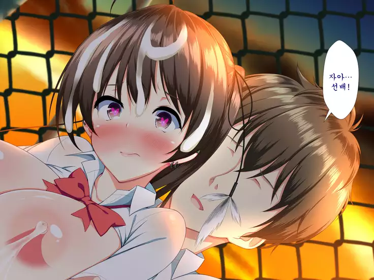 Inran Virus ~Seikoui wa Iryoukoui~ <팀 혼파망>