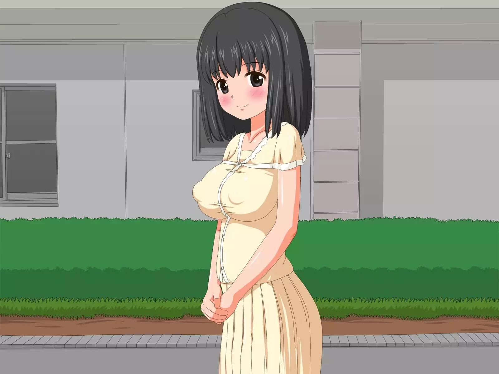 Netorare Roujin Kaigo