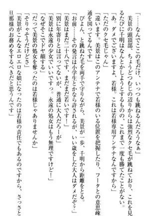 年上メイドの新婚日記