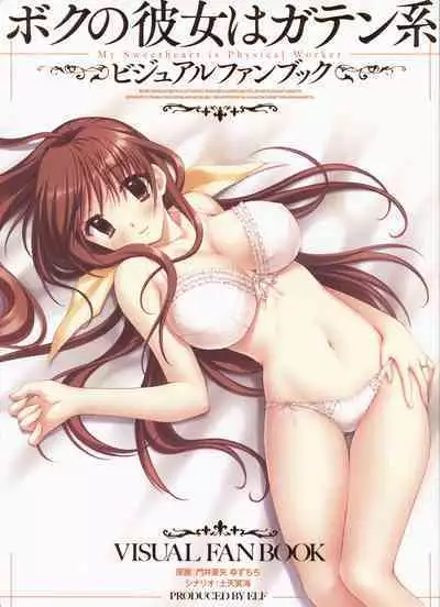 My Sweetheart is Physical Worker VISUAL FAN BOOK