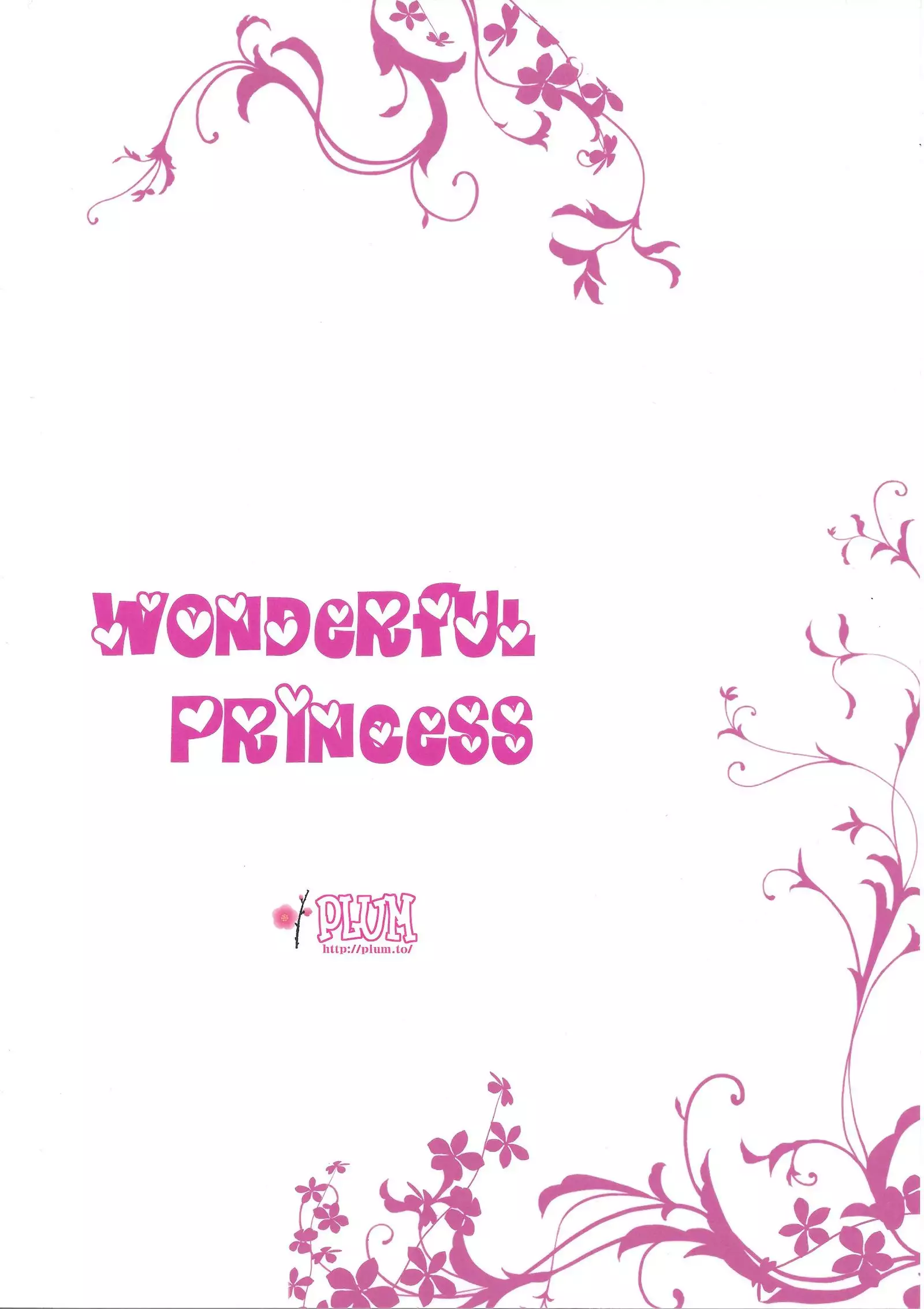 Wonderful Princess