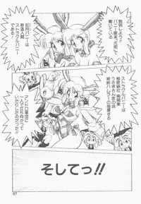 [Neriwasabi] Shinzou Ningen Struggle Bunny 1