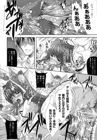 [Nanase Mizuho] PRINCESS FORCE