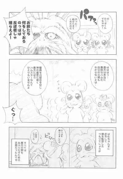 BATTLE FOR THE PLANET OF THE HAMS