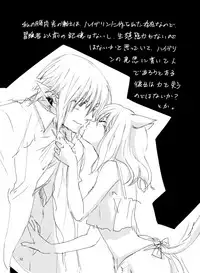 [ASM-P (みっき)] オル光まとめました (Final Fantasy 14) [Digital]