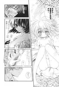 [Kumakou] CARAMEL BOX