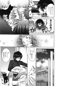 [Cesar] Otome Kaikinbi