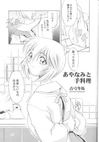 Ayanami Rei-shiki; Neon Genesis Rei-II