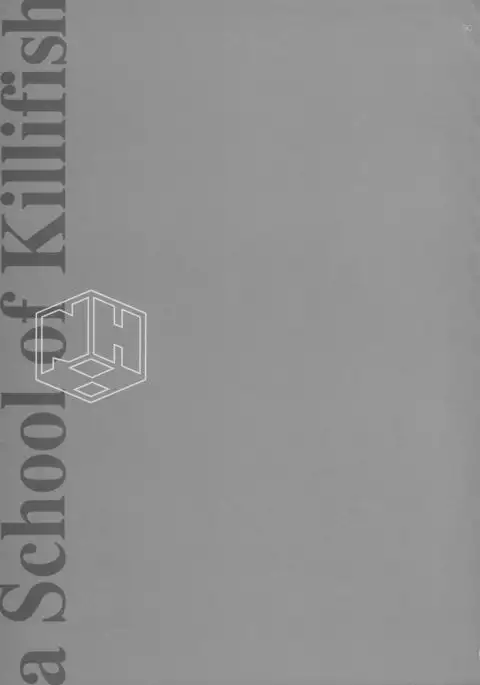 A SCHOOL OF KILLIFISH