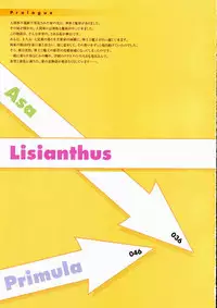 [設定資料集]SHUFFLE! Visual Fan Book