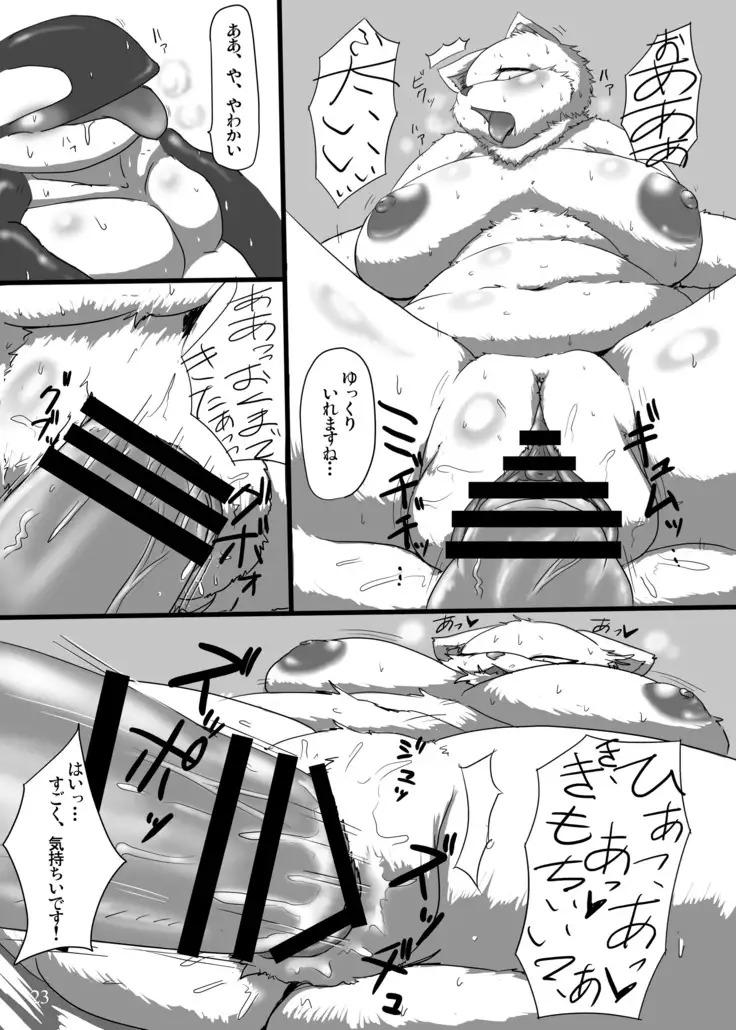 I Love The Chubby Cat