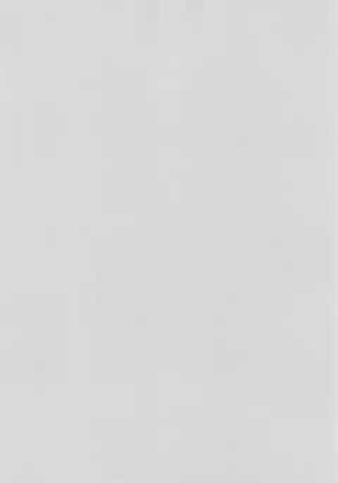 Futon SUPER GUTS SHINOBU