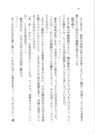 えむ×えむ！ 妹と生徒会長