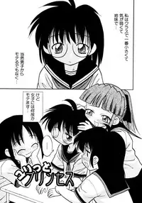 [yeahhhy tomii] Meconopsis