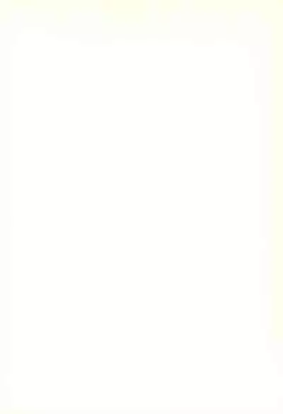 (SC11) [CHEROKEE (Maeda)] cherokee works for 20th century