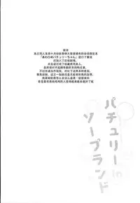 (C93) [Kedama Gyuunyuu (Tamano Kedama)] Patchouli in Soapland (Touhou Project) [Chinese] [脸肿汉化组]