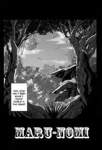 1006 Nano - Cyclone no Soushuuhen