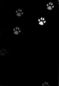 [Sengoku cartoon (Matsuzono)] W (Hetalia: Axis Powers)