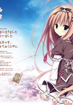 Majo Koi Nikki - Visual Fanbook