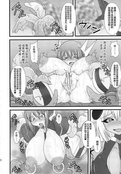 Shield Knight Elsain Vol. 13 Succubus Flirtation