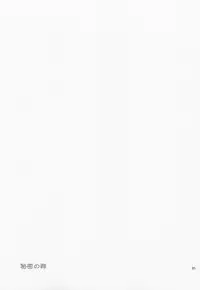 Himitsu no Mori Soushuuhen