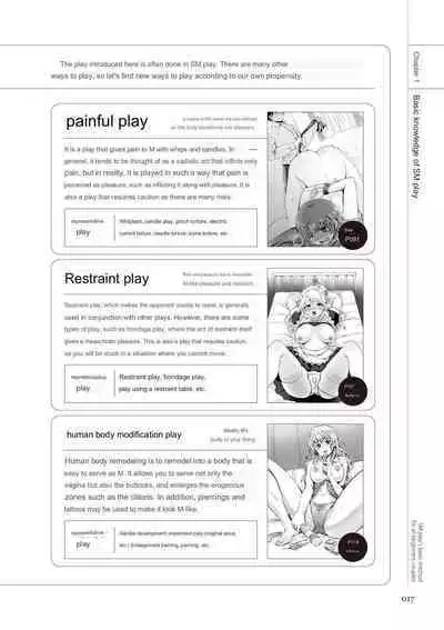 SM play manual