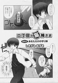 [ShikigamiAzuma]God Chome cat