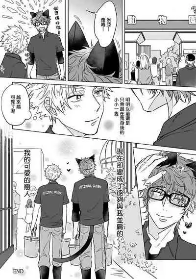 Fukurou no Koiwazurai | 猫头鹰的相思病