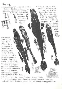 [Umedama Nabu] Operation Daisakusen