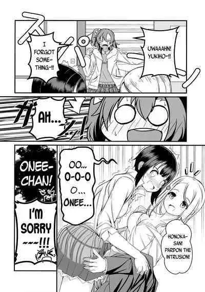 Hana ni Yukiakari | Snow Light on a Flower