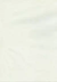 (C70) [Suck Drop Bambies (Gatari)] Kutsugi-san to Kurozaki-kun (Bleach)