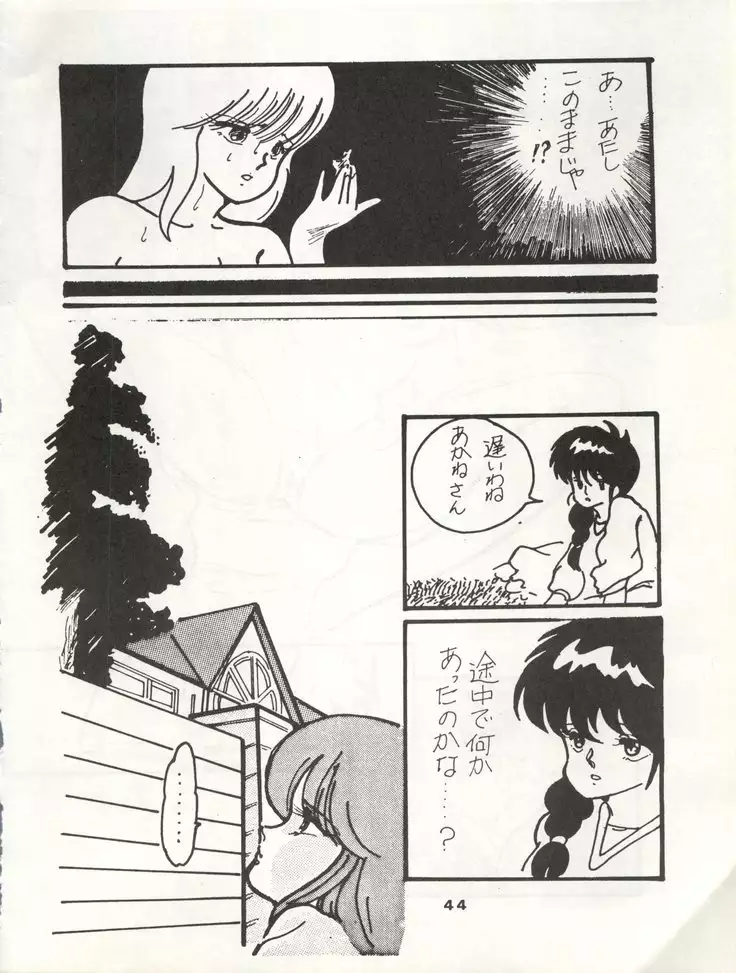 ORANGE GALLERY SAKATA SPECIALl